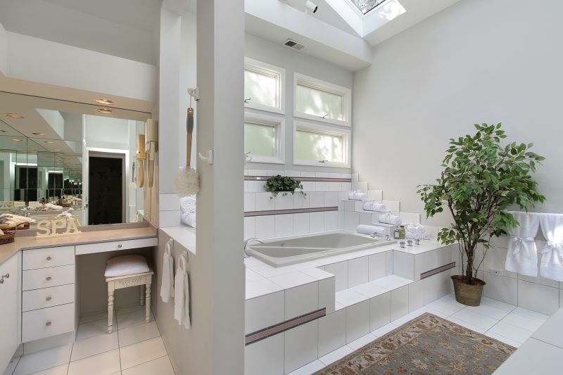 Elegant Tub Area